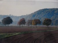 P1050135